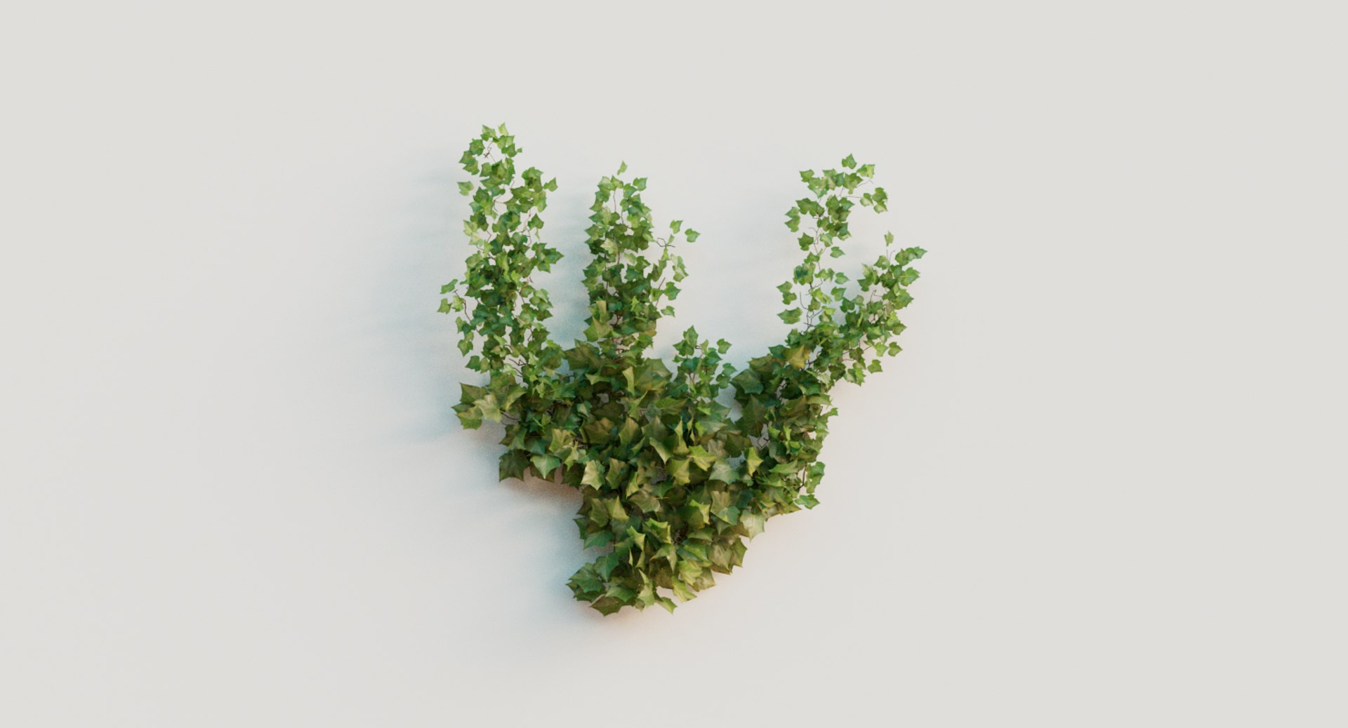 3D ivy plant model https://p.turbosquid.com/ts-thumb/zN/mRHObc/MzpD8BH5/ivy_010/png/1596053137/1920x1080/fit_q87/82b7aac429590515fee0854a3786ea71fa7fda83/ivy_010.jpg
