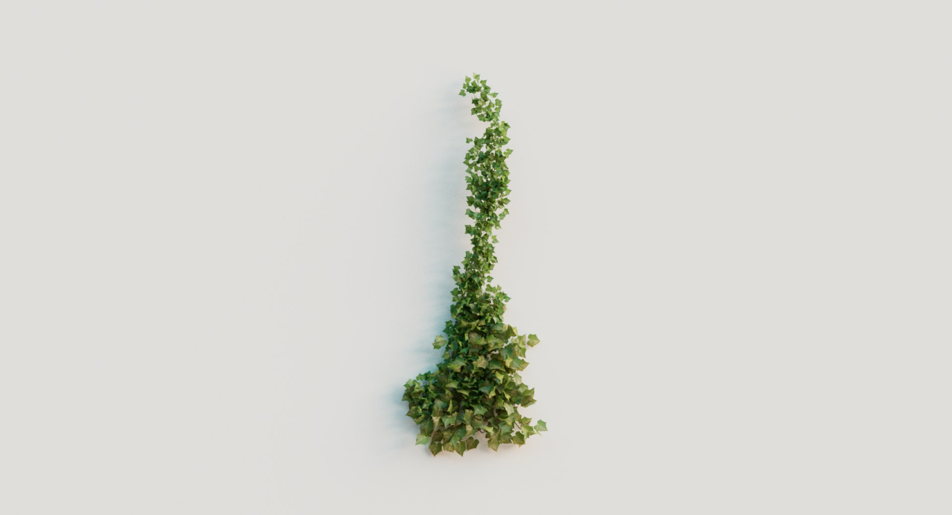 3D ivy plant model https://p.turbosquid.com/ts-thumb/zN/mRHObc/Tl2NH4aJ/ivy_006/png/1596053092/1920x1080/fit_q87/ab50c0a64dbb502ea47dc832d47bc5c68fbd7dbd/ivy_006.jpg