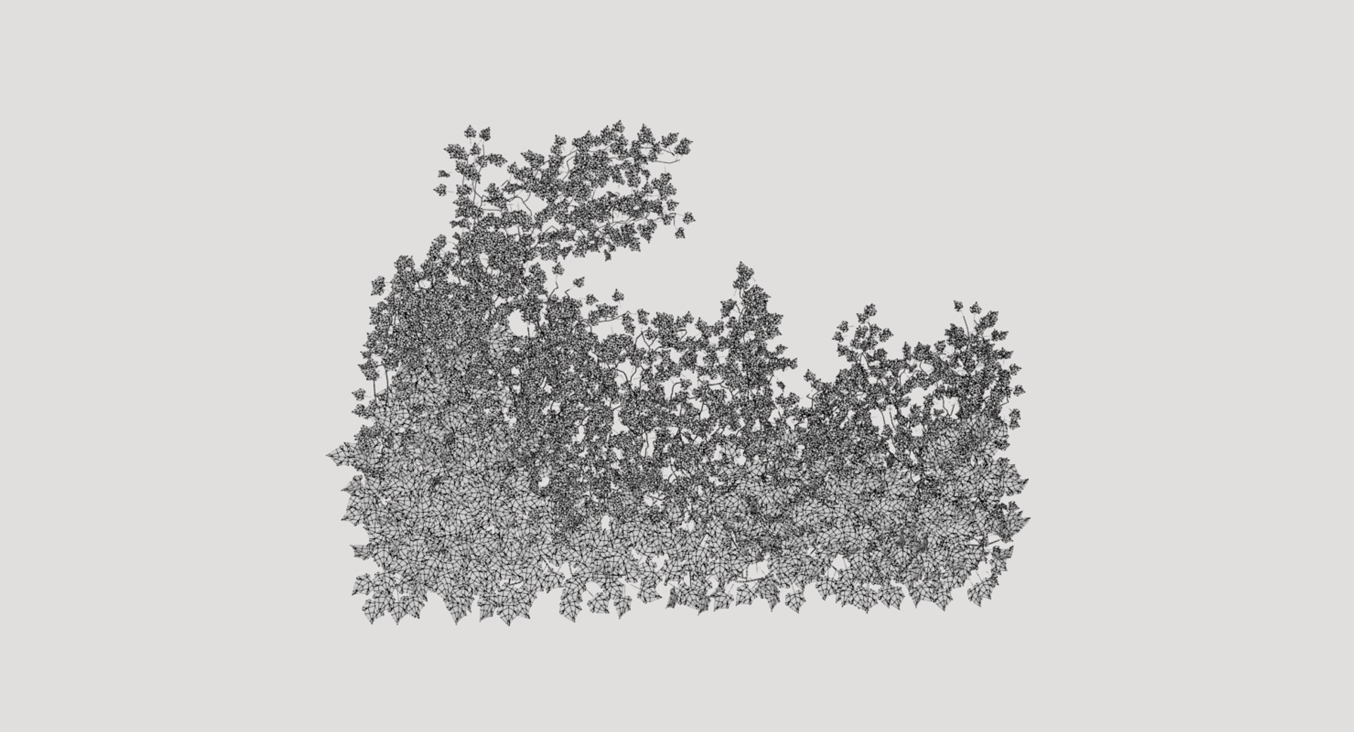 3D ivy plant model https://p.turbosquid.com/ts-thumb/zN/mRHObc/g40KNLZn/ivy_003w/png/1596053157/1920x1080/fit_q87/fcf46e71a1e2d32d5430a70099a73b4eec6c6b3e/ivy_003w.jpg