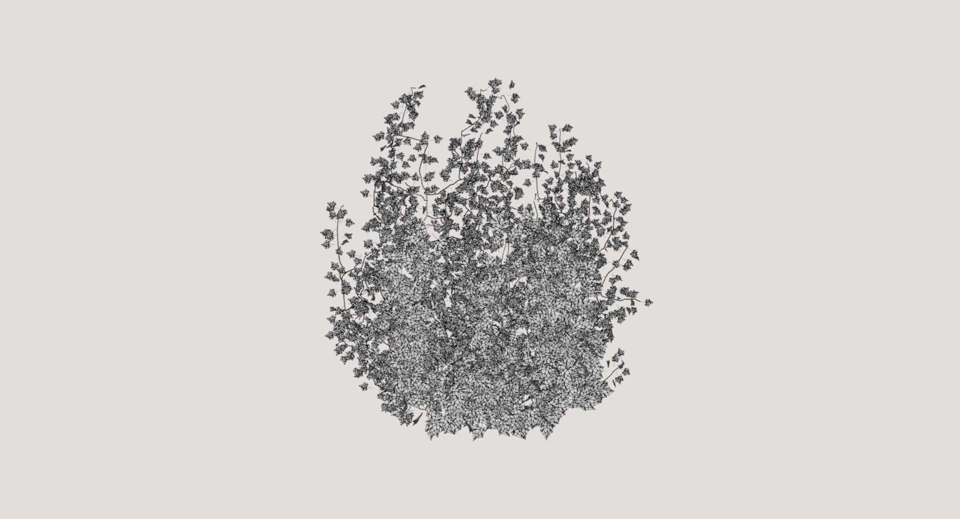 3D ivy plant model https://p.turbosquid.com/ts-thumb/zN/mRHObc/xA1ErX6I/ivy_005w/png/1596053180/1920x1080/fit_q87/b88d846a49e9a3ecc575f1f611fc3529472be183/ivy_005w.jpg