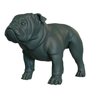 3D model English Bulldog stand pose