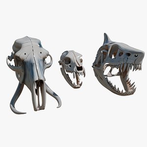 Realistic 3D Skull Models Collection Dog Shark and Elephant UV Unwrapped Single Mesh OBJ FBX
