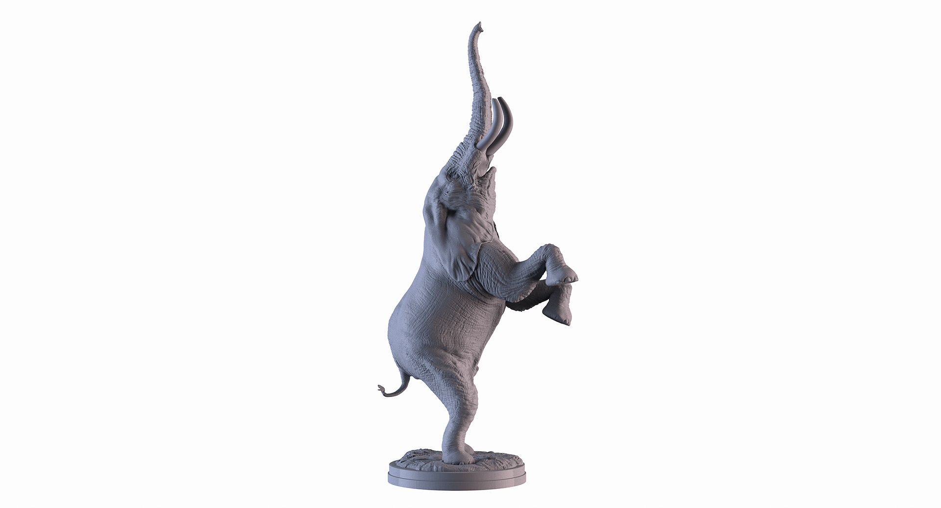 Standing Elephant 3D model https://p.turbosquid.com/ts-thumb/zO/jBy5Ev/Aw/03/png/1619143288/1920x1080/fit_q87/cc2f1d8f668767ed707c9be3d5548ca6bf4b8cc5/03.jpg