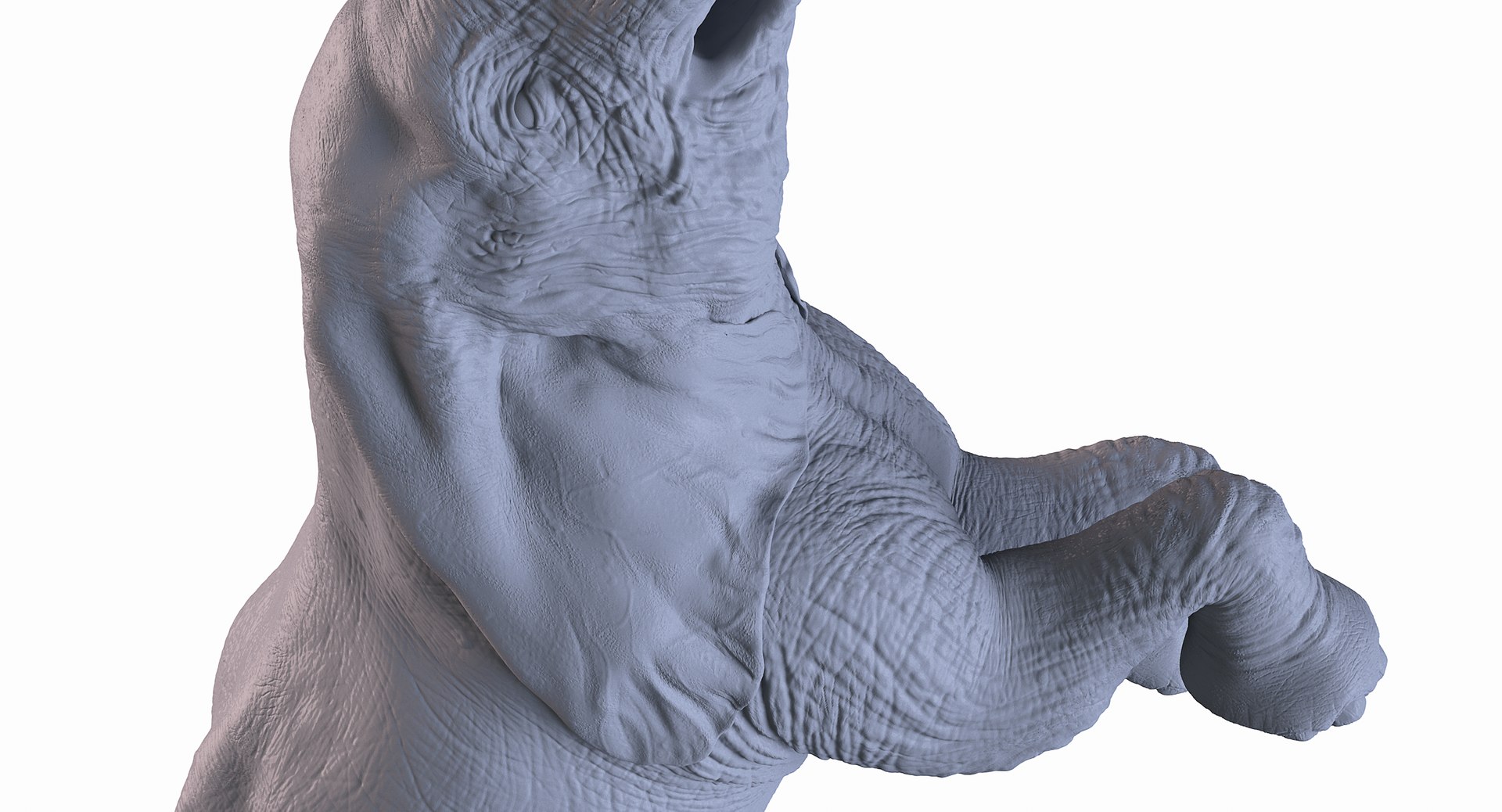 Standing Elephant 3D model https://p.turbosquid.com/ts-thumb/zO/jBy5Ev/hf/11/png/1619143347/1920x1080/fit_q87/f34360378b4573b524e0ef078c3e683fe42e8039/11.jpg