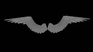 Bird Wings  Angel Wings