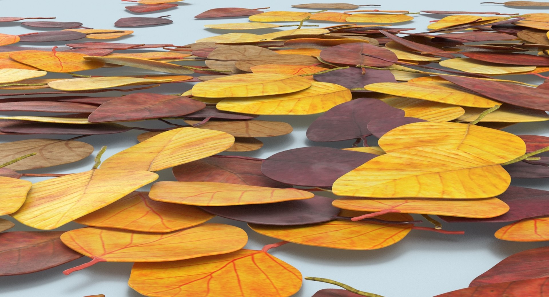 scattered-leaves---pile-1 3D model https://p.turbosquid.com/ts-thumb/zO/tJgOwh/CnCDsmhs/scattered_leaves_a_productshot_0007/jpg/1540827639/1920x1080/fit_q87/f04cacd4203b84adbd9edb8152b32ac32e108426/scattered_leaves_a_productshot_0007.jpg
