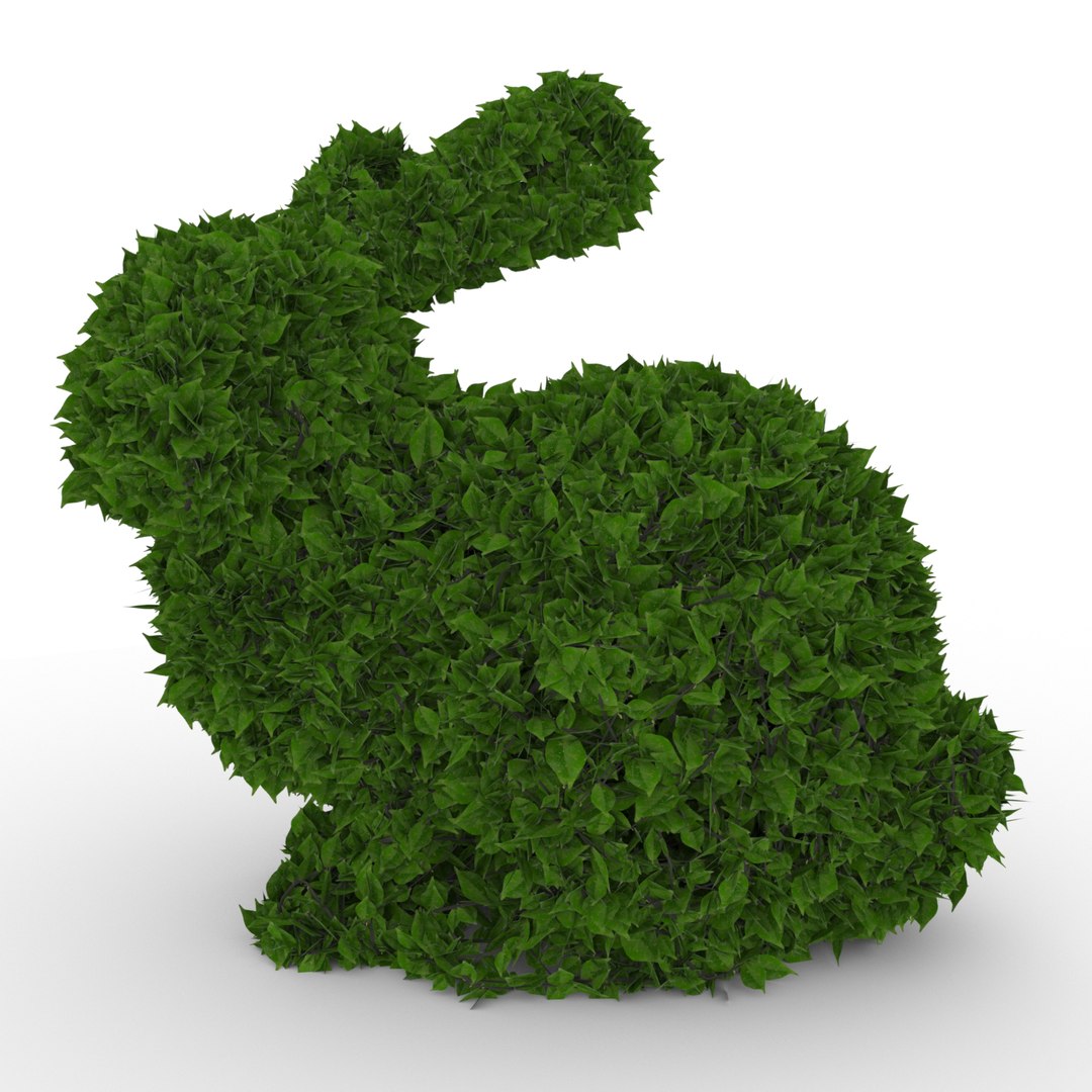 3D Model Ficus Rabbit Topiary 1 - TurboSquid 1190592