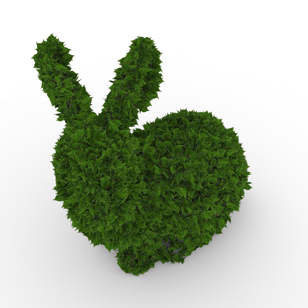 3D Model Ficus Rabbit Topiary 1 - TurboSquid 1190592