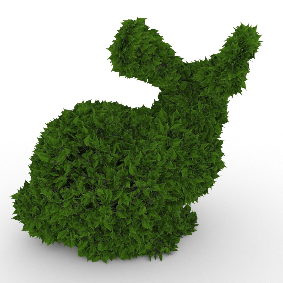 3D Model Ficus Rabbit Topiary 1 - TurboSquid 1190592