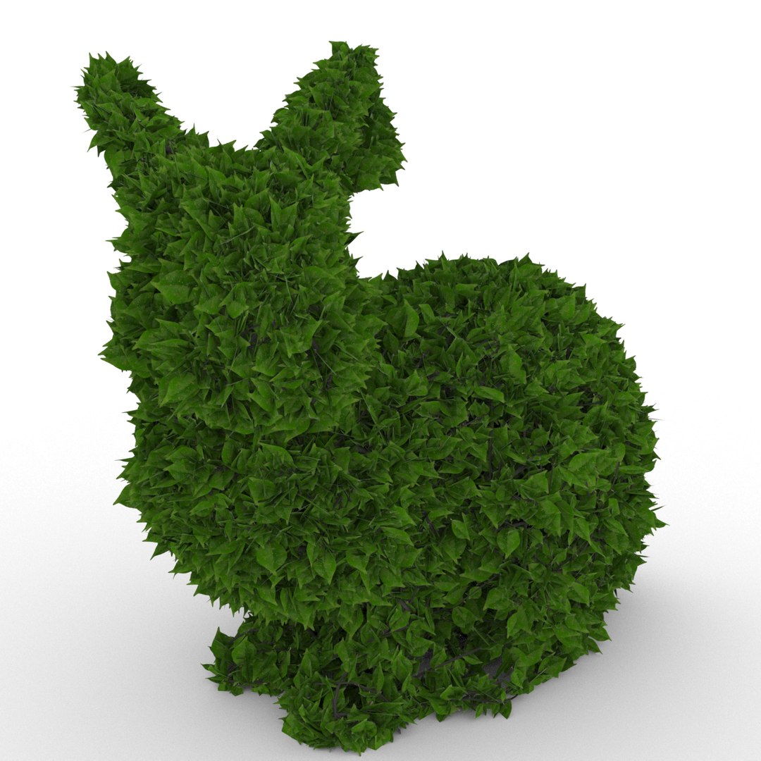 3D Model Ficus Rabbit Topiary 1 - TurboSquid 1190592