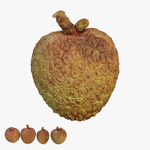 3D litchi fruit 02