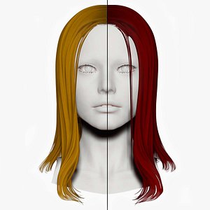 Female Straight Hair 3D model