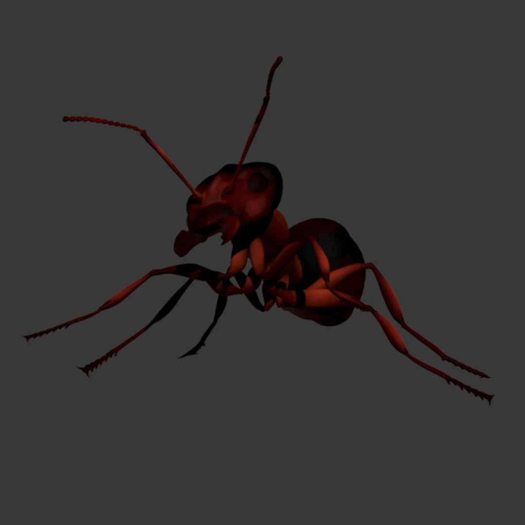 3d model ant rigged https://p.turbosquid.com/ts-thumb/zP/6GagkX/51FpGorL/mantis_thumb14/jpg/1484080263/1920x1080/fit_q87/68803c783a4b9b14ba95cad39286861b7e751d18/mantis_thumb14.jpg
