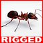 Ant (Rigged)