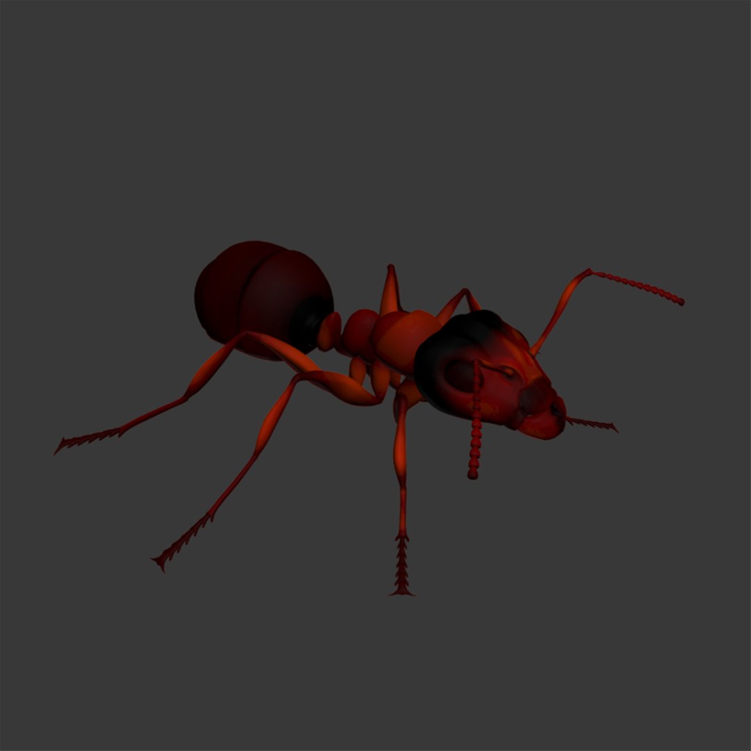 3d model ant rigged https://p.turbosquid.com/ts-thumb/zP/6GagkX/A7UB3Jys/mantis_thumb08/jpg/1484080263/1920x1080/fit_q87/858d40e8b8d86224de62e4d68023434205baa3aa/mantis_thumb08.jpg