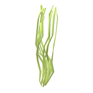 Seaweed 3D
