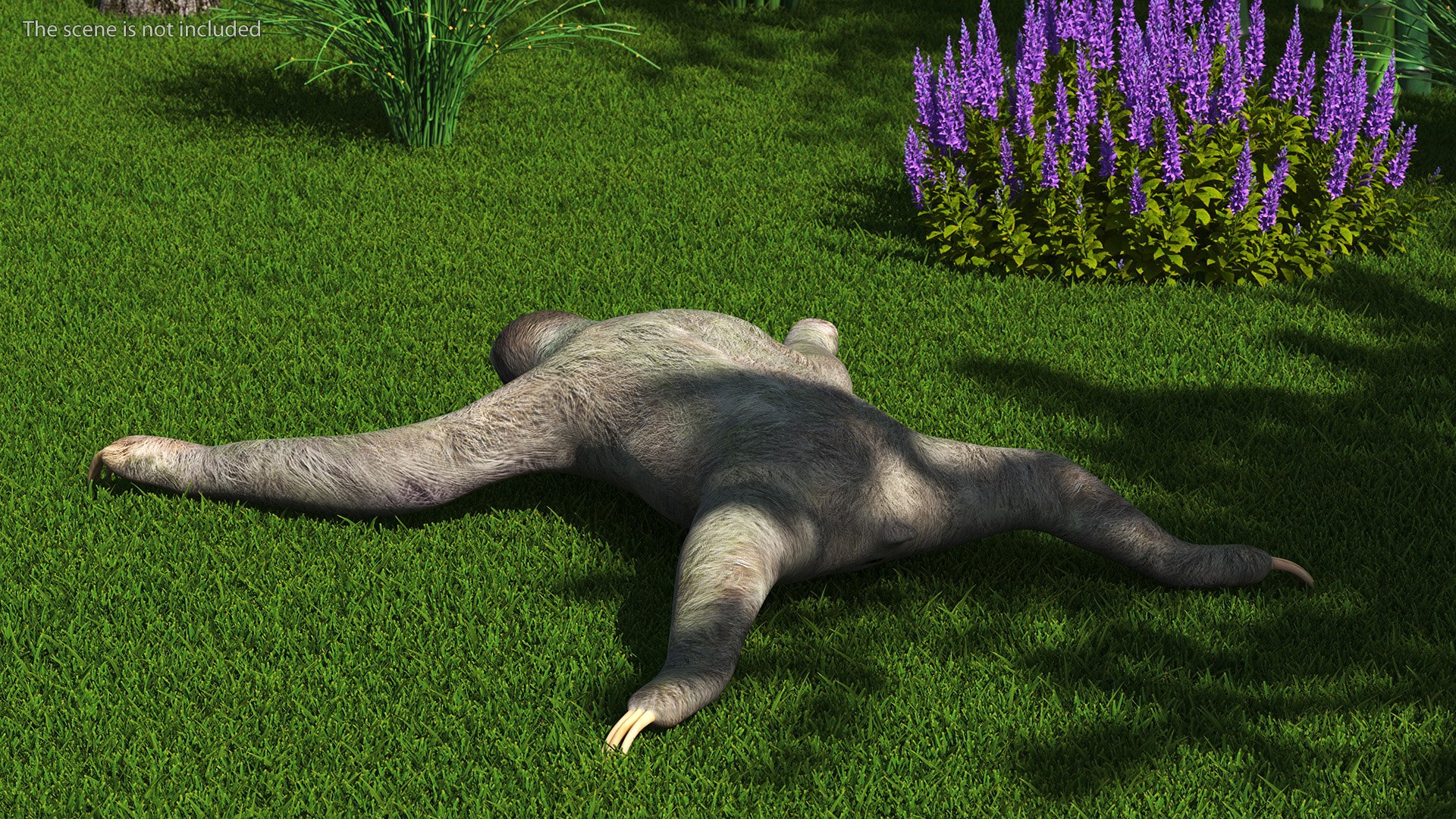 3D Model Sloth Rigged For Cinema 4D - TurboSquid 2185810
