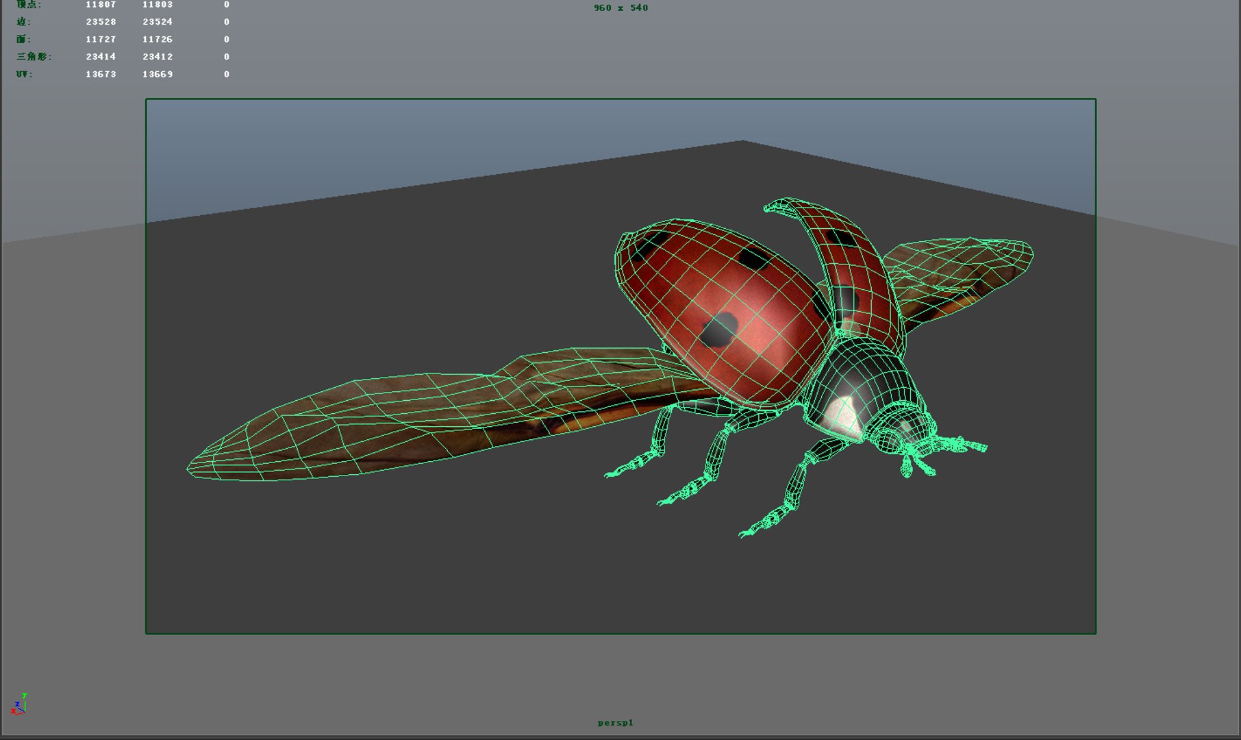 Ladybirds Insects Model - TurboSquid 1320046