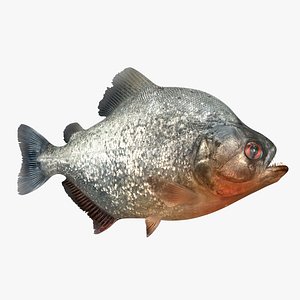 Piranha