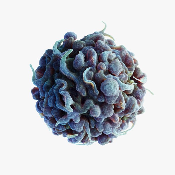 3D model Cancer Cell Apoptosis - TurboSquid 1915951