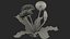 3D dandelion plant taraxacum officinale model