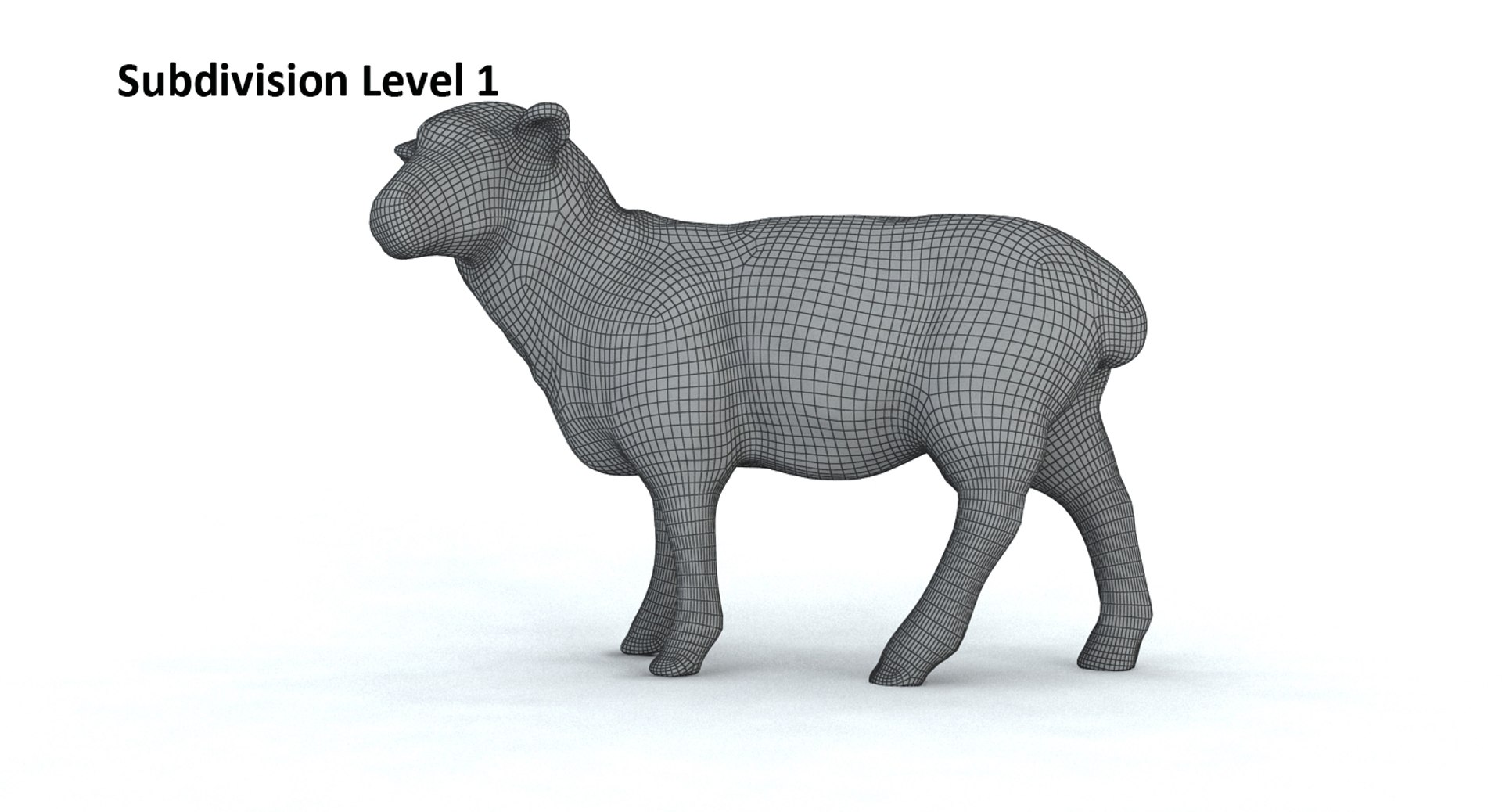 Sheep 3d Dxf