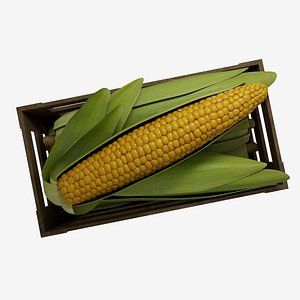 Corn Photorealistic Low poly 3D model 3D model
