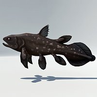 Coelacanth Rigged - Rare Dinosaur Extinct Fish 1