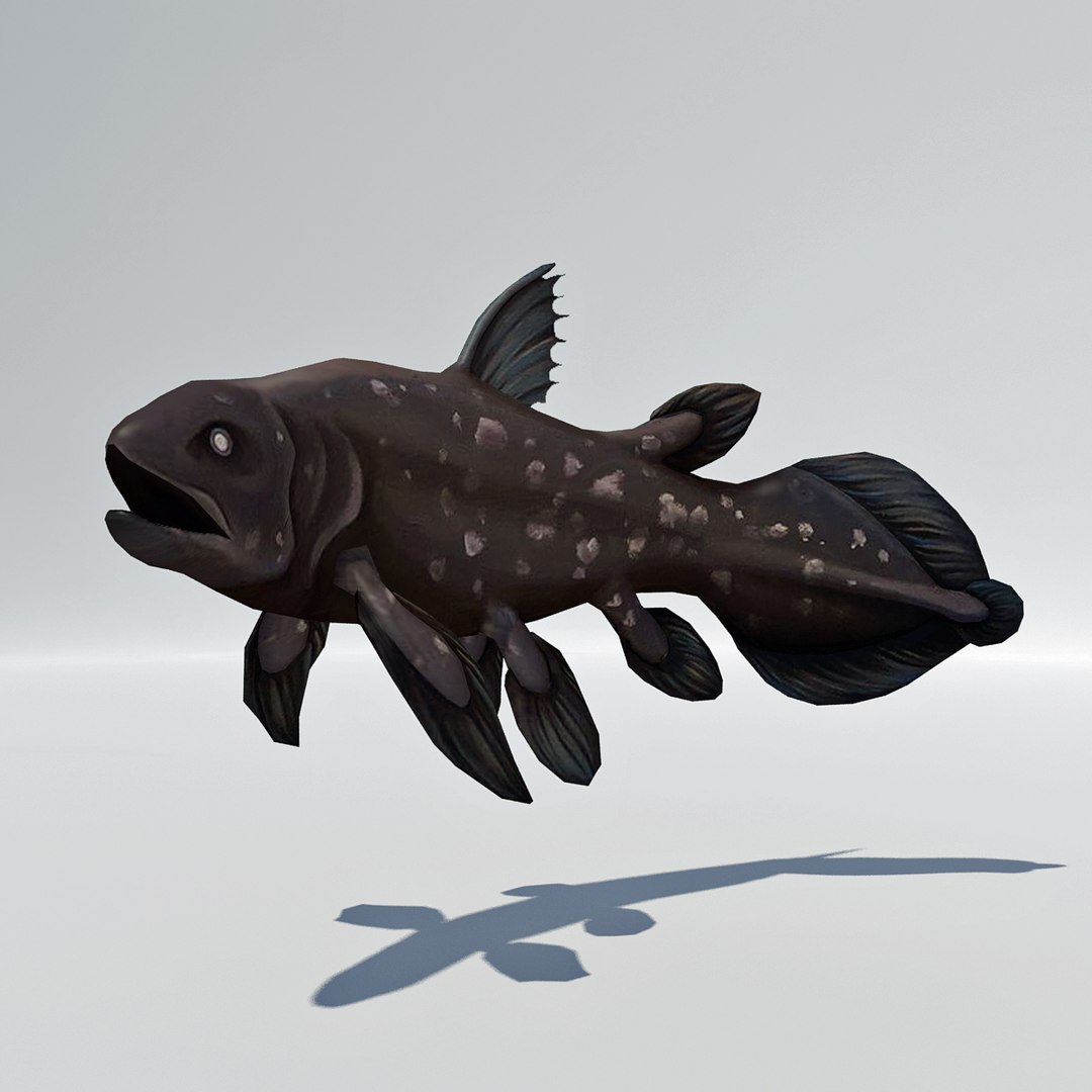 - Coelacanth Dinosaur Extinct 3d Model