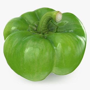 Green Bell Pepper