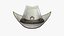 Cappelli da cowboy e pistole Texture 8K PBR