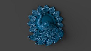 Bird Peacock 3D