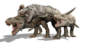 3D fighting tyrannosaurs