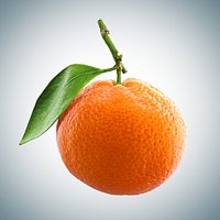 Mandarin, high polly model, #1