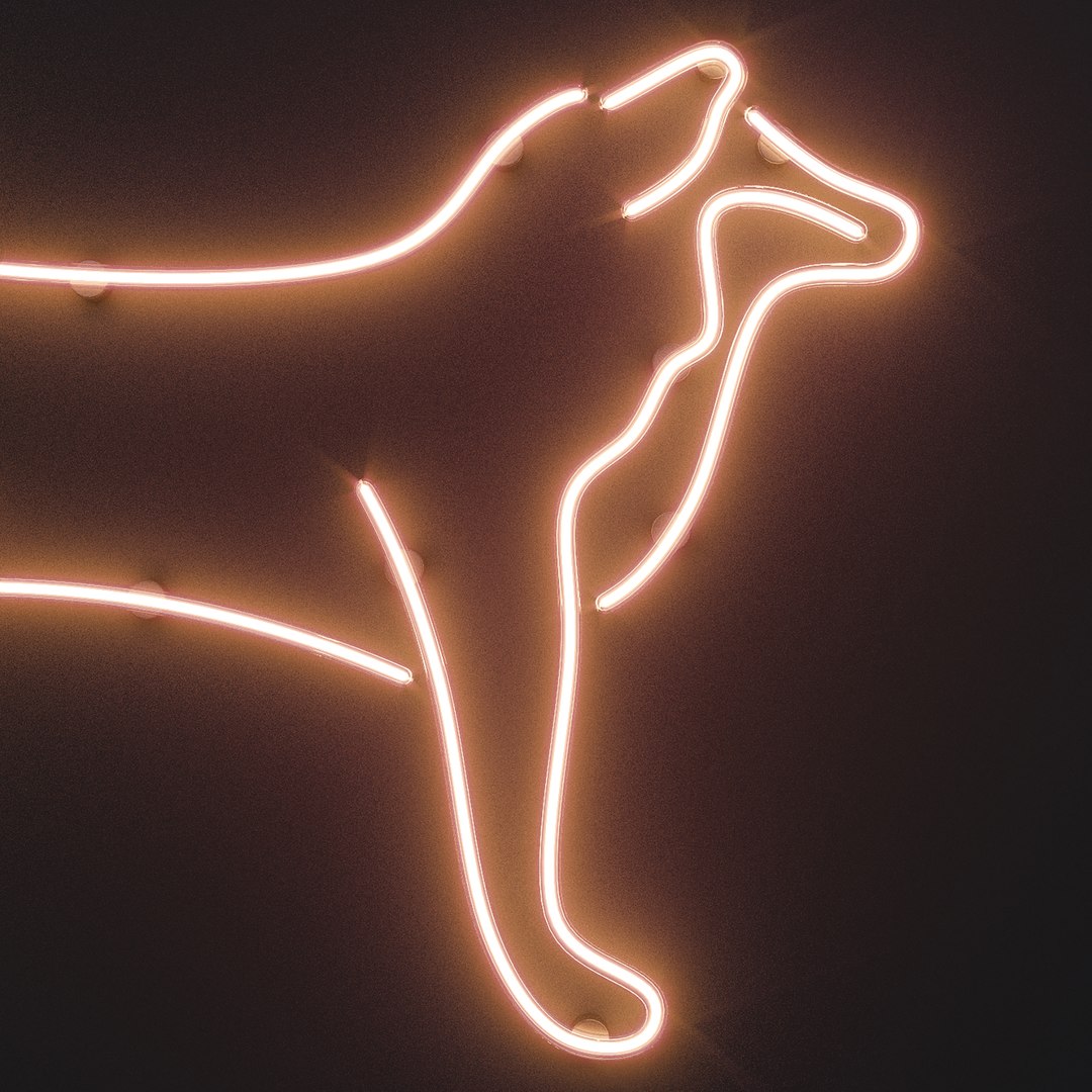 3D Neon Set 25 - TurboSquid 1963369