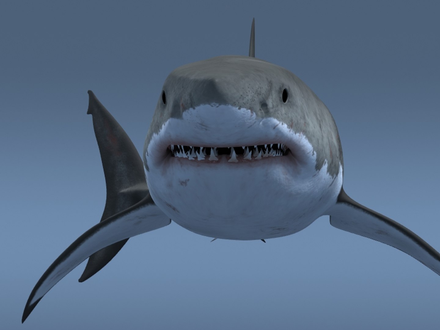 3ds max great white shark https://p.turbosquid.com/ts-thumb/zQ/ZEBYxH/OcGcEBnj/grtwht_020/jpg/1287692337/1920x1080/fit_q87/5a2e708ef8e6d4de4becfffc4c83c6cad5a9c5ba/grtwht_020.jpg