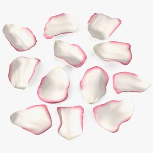 Rose Petals Pink