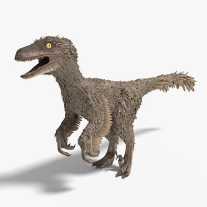 Velociraptor Feathered