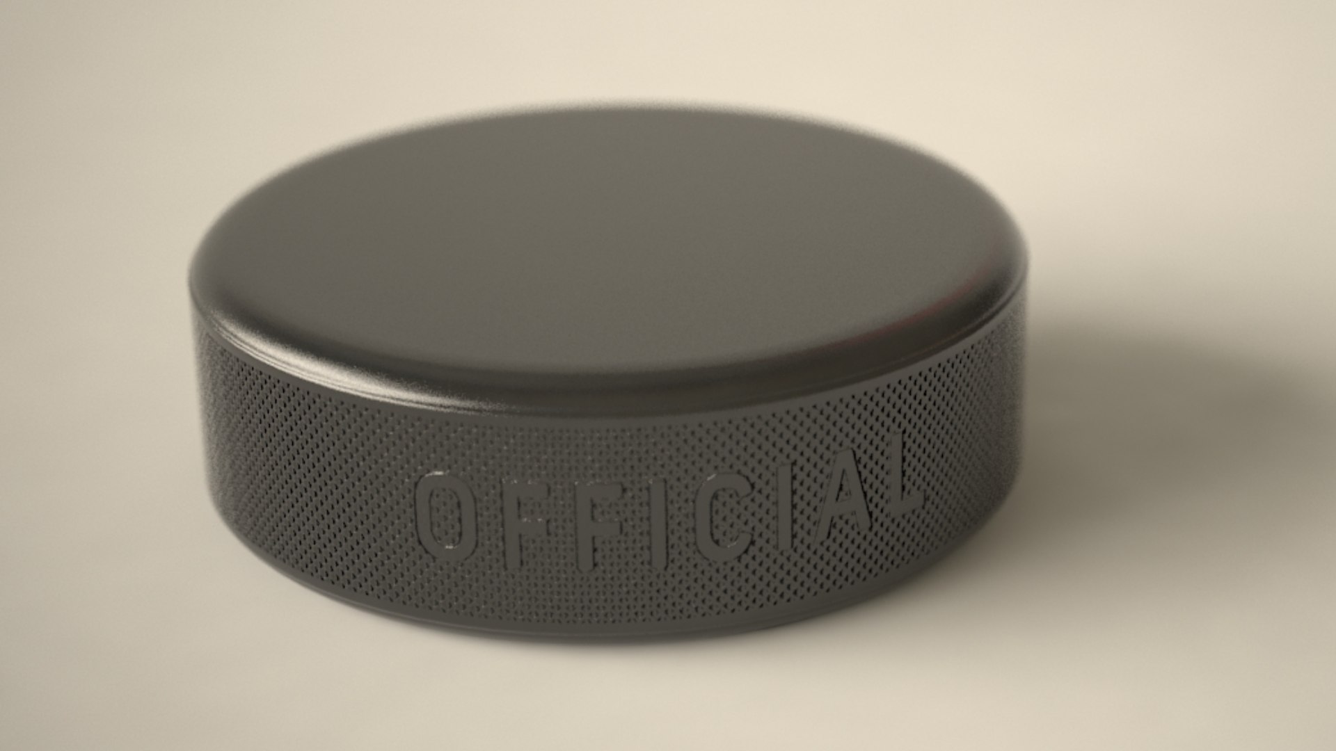 Hockey Puck Official 3D Model - TurboSquid 1391164