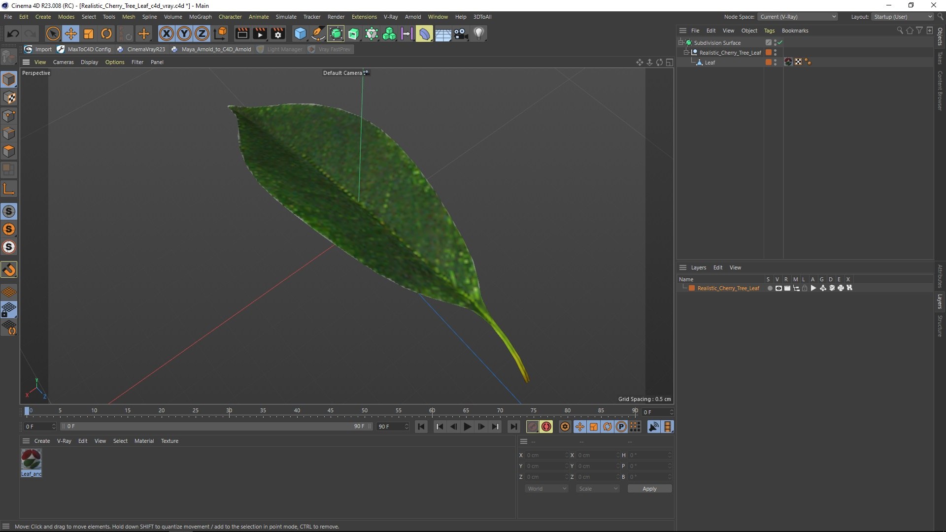 3D Realistic Cherry Tree Leaf model https://p.turbosquid.com/ts-thumb/zQ/wIySFa/Gh/realistic_cherry_tree_leaf_1004/jpg/1731842280/1920x1080/fit_q87/cedfb8cf01d6879d0fa6735737616c48ea7f01fc/realistic_cherry_tree_leaf_1004.jpg