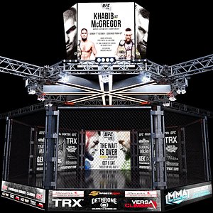 3D UFC Fighting Stage
