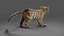 Fur Tiger Cub uzbrojony i animowany w Blenderze