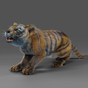 Fur Tiger Cub Rigged and Animated in Blender