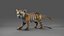 Fur Tiger Cub uzbrojony i animowany w Blenderze