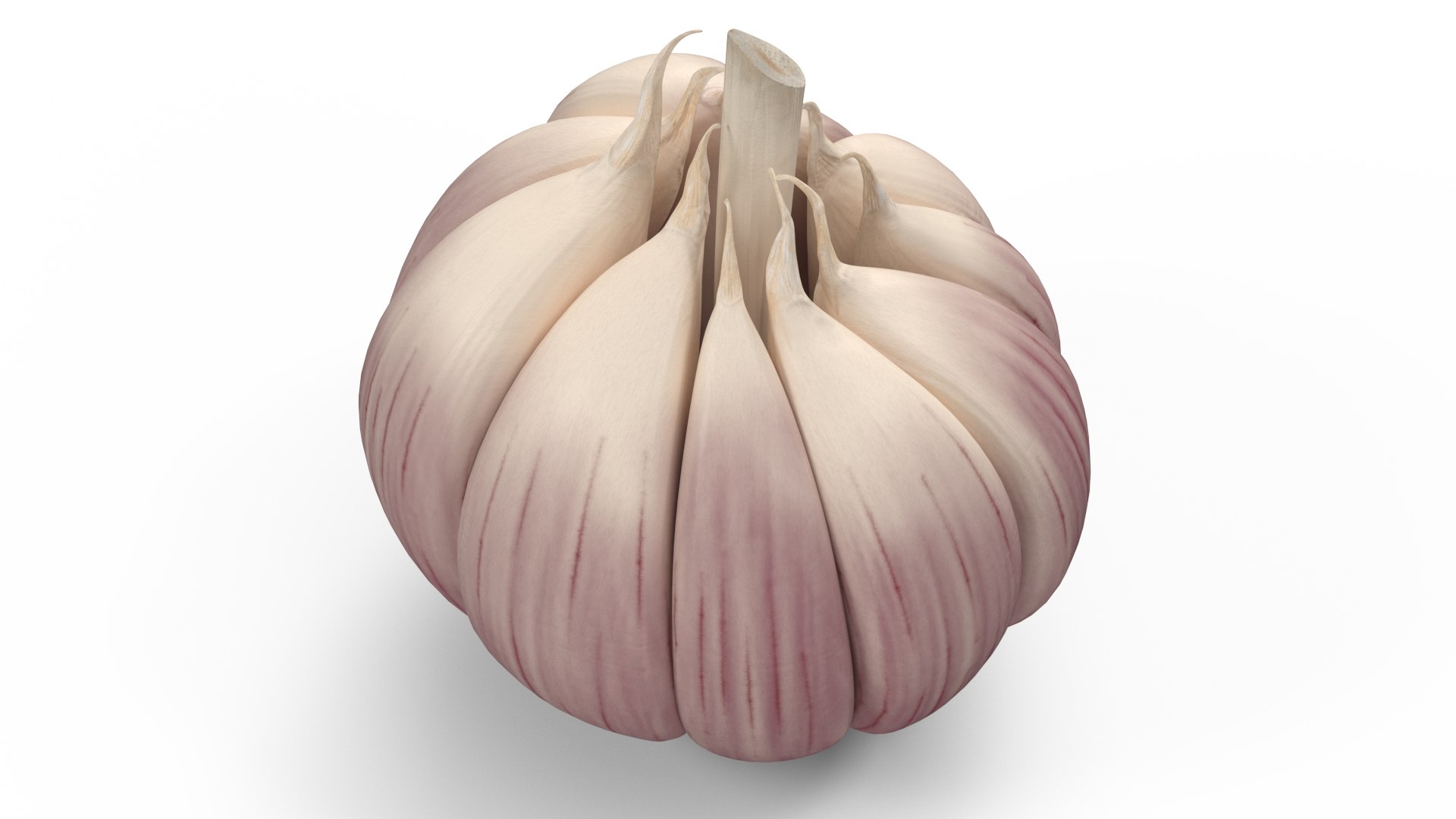 Head of Garlic White 3D model preview