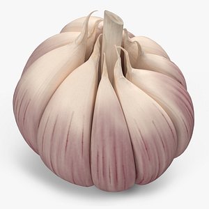 Head of Garlic White model