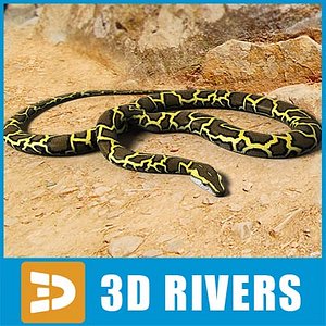 burmese python snakes 3d model