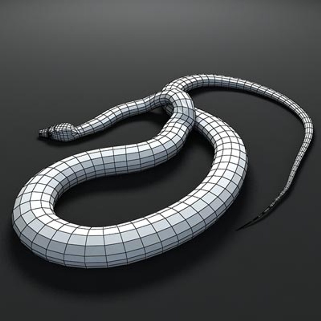 Burmese Python Snakes 3d Model