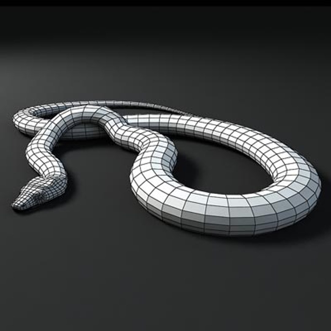 Burmese Python Snakes 3d Model