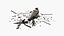 Bomb Disposal Expert Examines Wreckage Plane